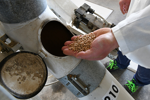 Harina italiana de la mejor calidad "00" 1kg pan panecillos rollos bizcocho sable pasta pizzas pizza Venta de exportación - Product Image 4