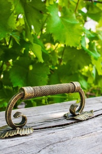 Manija de hierro forjado clásica Iron Nature con motivos de hojas en relieve y extremos calados, estilo vintage para vallas y celosías - Product Image 6