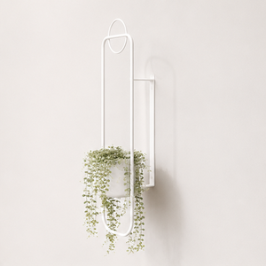 Jardinière murale moderne minimaliste en métal blanc thermolaqué, résistante à la rouille, écologique, pour plantes d'intérieur, style classique - Product Image 3