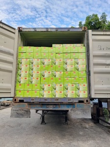 เครื่องดื่มว่านหางจระเข้คาร์โบไฮเดรตต่ำ รสลิ้นจี่แตงโม น้ำผลไม้รวมทรอปิคอล 500 มล. ขวด PET รับผลิตแบบ OEM ODM แบรนด์ส่วนตัว โรงงาน A&B เวียดนาม - Product Image 5