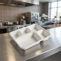 Barquette alimentaire jetable en pulpe moulée rectangulaire, la plus vendue, résistante à l'eau, légère, biodégradable, écologique, moderne et luxueuse
