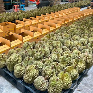Durian frais Monthong entier de qualité supérieure de Thaïlande-Grade A ++ Natural Organic 2-3 semaines Durée de conservation - Product Image 1