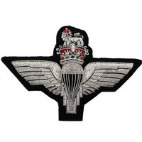 Écusson brodé RAF en forme d'ailes, à coudre, badge uniforme en tissu, forme irrégulière personnalisée, applique tactique pour vêtement