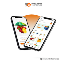 Desarrollo de aplicaciones de entrega de marca blanca para un lanzamiento rápido en el mercado y un cumplimiento confiable de pedidos, aplicación escalable de logística y entrega