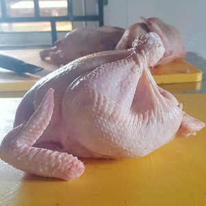 Poulet Halal Entier Congelé de Qualité Supérieure, Propre et Frais, Prix Bas, Achetez Maintenant, En Stock, Vente en Gros, Livraison Rapide - Product Image 2