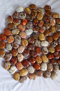 Jaspe Cobra Rouge Naturel Lisse et Poli, Forme Libre, Couleurs Uniques, Motifs Naturels, Excellent pour les Collectionneurs de Cristaux, Décoration de Noël - Product Image 1
