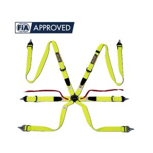 Arnés de Carreras Homologado por la FIA 8853 2016, Marca Privada TBRACING, Hebilla Integrada, Ajuste Ergonómico de Baja Presión, Venta al Por Mayor - Product Image 1