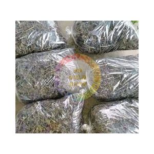 Feuilles de Perilla Violette Sélectionnées de Haute Qualité du Vietnam, Séchées au Soleil, pour la Cuisine et les Boissons Asiatiques - Product Image 4