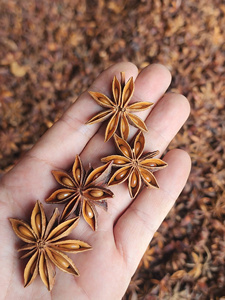 Anis étoilé séché en morceaux entiers, naturel, cru, origine Vietnam, épices pour la cuisine et l'assaisonnement TECHMIFOOD, durée de conservation de 12 mois - Product Image 4