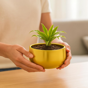 Pot de fleurs en métal doré brillant, rond, 5,5 pouces, pour plantes succulentes, avec trou de drainage et base en caoutchouc - Product Image 3