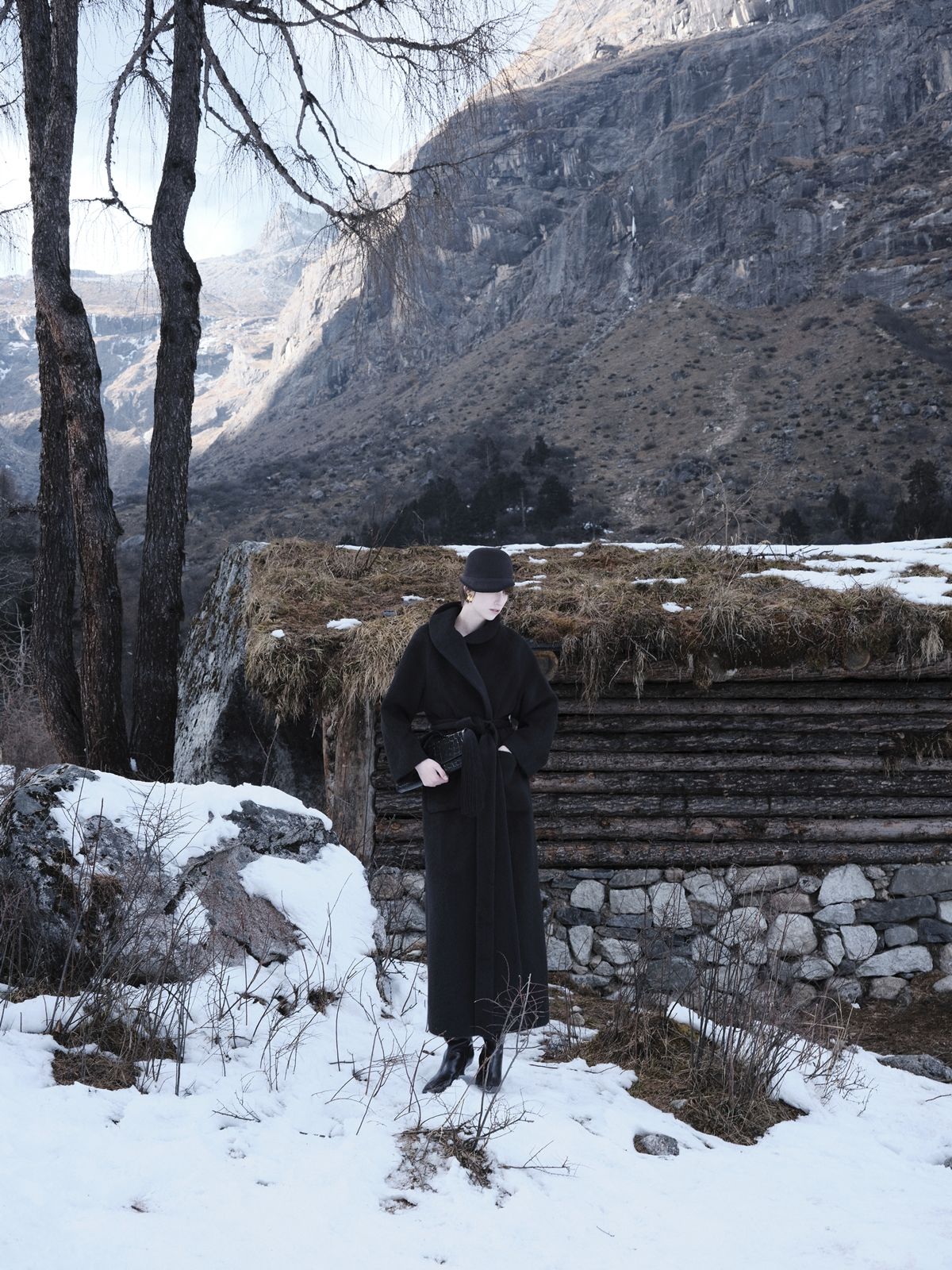 สีน้ำตาล