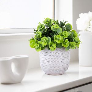 Simpatiche Piante Artificiali di Lysimachia, Fiori Finti e Vegetazione in Vaso di Ceramica per Decorazione Casa, Ufficio, Tavolo, Scrivania, Soggiorno - Product Image 2