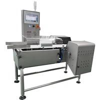 Báscula de Control Dinámica Automática Industrial de Alta Precisión en Línea para Cajas, con Transportador de Acero Inoxidable