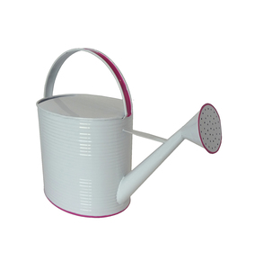 Arrosoir décoratif à long bec pour l'entretien des plantes et l'aménagement du jardin domestique - Product Image 2