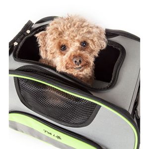 Transportadora Plegable Moderna para Mascotas Sky Max, Aprobada por Aerolíneas para Viajes Cómodos - Product Image 3