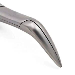 Pinzas Quirúrgicas Dentales Curvas de Acero Inoxidable con Mango Dorado, Juego de Instrumentos de Precisión con Certificación CE para Uso Clínico, Instrumentos QASIDEN - Product Image 3