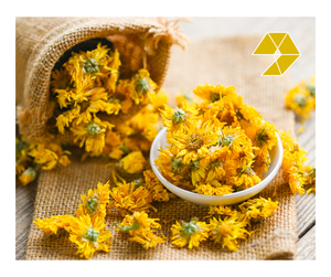 ดอกเบญจมาศแห้ง ชาสมุนไพรดอกเบญจมาศแห้ง ราคาขายส่ง ดอกเดซี่ เวียดนาม ดอกเบญจมาศแห้ง 2026 - Product Image 1