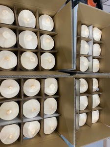 Best Selling <b>Fresh</b> Organic Young <b>Coconut</b> Whole Diamond Cut Natural Grade a for Export Wholesale OEM Viet Delta - Product Image 6