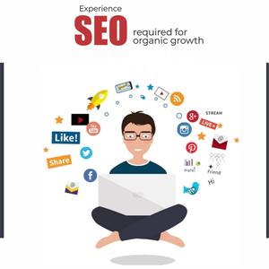 Proporcionando los Mejores Servicios de SEO para Ayudar a su Sitio Web Empresarial a Alcanzar la Primera Página de Google - Product Image 4