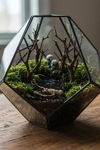 Terrario de Metal y Vidrio Negro Personalizado, Moderno, para Plantas de Interior, Suculentas, Plantas Aéreas y Terrarios DIY - Product Image 6