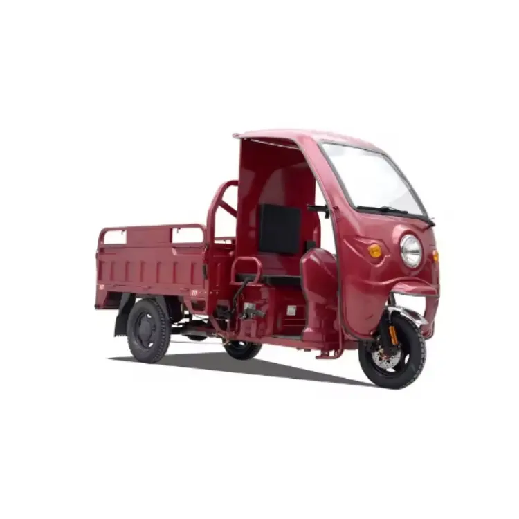 Kargo Trike elektrik motoru üç tekerlekli Mini kamyon elektrikli üç tekerlekli bisiklet 2 yolcu Mini elektrikli araba için yetişkin açık Qute Bajaj 2024