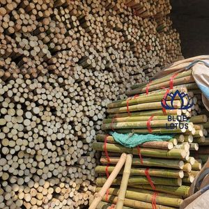 Très demandés 2026 Poteaux de bambou de qualité supérieure pour piquets agricoles et supports de construction Durables, flexibles, faciles à couper - Product Image 2