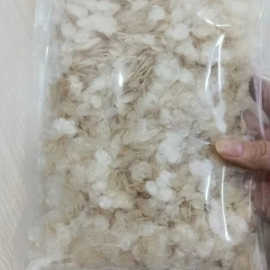 เกล็ดปลาที่ผ่านการดีแคลซิไฟน/เกล็ดปลาแห้งดิบสำหรับอุตสาหกรรม - Product Image 2