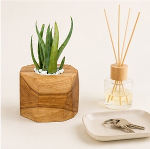Maceta Hexagonal de Madera Hecha a Mano para Suculentas, Ecológica, Geométrica, de Madera Maciza, para Decoración de Interiores del Hogar y Oficina - Product Image 4