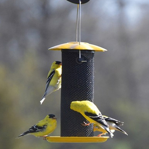 Mangeoire Combinée pour Petits Oiseaux et Graines de Tournesol, Mangeoire Jaune pour Oiseaux avec Cage en Maille Noire, Mangeoire Suspendue pour Jardin Extérieur pour Oiseaux Sauvages - Product Image 2