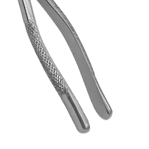 Forceps d'extraction dentaire manuels en acier inoxydable pour usage chirurgical et orthodontique, qualité A+, à vendre - Product Image 2