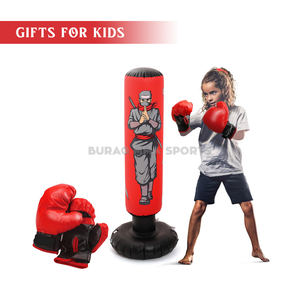 Kit de Boxeo para Niños, Guantes de Entrenamiento y Juego de Saco de Boxeo para Principiantes - Product Image 1