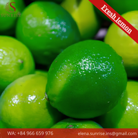 Verse Groene Limoen Hele of Gehalveerde Premium Kwaliteit Natuurlijke Gewone Teelt FRESH LEMON Merk 16-20cm 10kg (Mw. Elena - (+84) 966 659)