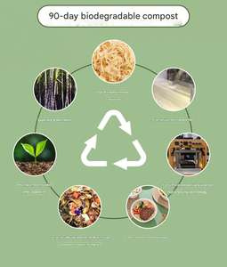 Eco-Friendly 400ml 500ml 750ml 1000ml 1500ml Pulp <b>Noodle</b> Soup Biodegradable Disposable Rice Bowls Lunch <b>Boxes</b> With Lids - Product Image 4