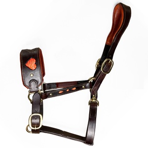 Cabestro de cuero estilo inglés para caballo con costuras decorativas, acolchado, hebillas de latón, ajustable, con cierre de broche en la barbilla y garganta - Product Image 1