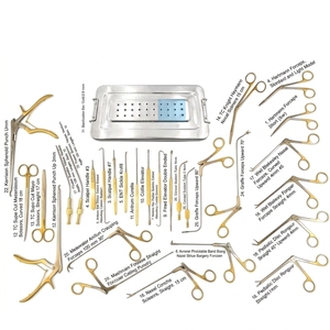 Ensemble d'instruments FESS pour chirurgie endoscopique des sinus, en acier inoxydable A+, ensemble d'instruments ORL solides, certifiés ISO, durée de conservation de 3 ans - Product Image 1