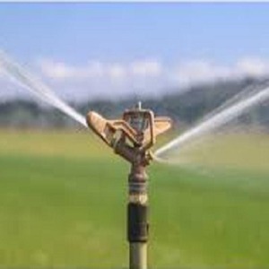 Aspersor metálico de alta calidad con pico para riego, herramienta de riego de alta resistencia de grado exportación para jardín, de la India - Product Image 4
