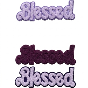Parche Termoadhesivo Bordado con la inscripción BLESSED, Aplique de Tela Decorativo para Chaqueta, Jeans, Ropa Exterior, Mochila, Sombrero, Costura DIY - Product Image 3