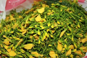 Flor de Sesbania Congelada de Origen Vietnamita, Suministro a Granel OEM para el Mercado Global - Product Image 4