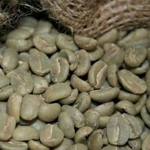 Café Vert Biologique du Vietnam Récolte Fraîche S16 S18 Prix Compétitif Origine Éthique Arabica Typica Brut Marque IIGLOBAL - Product Image 1