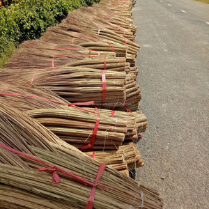 PALO DE ESCOBILLA DE COCO PREMIUM, Exportador Confiable de Vietnam, Mejor Precio, Suministro a Granel, Gran Cantidad Estable - Product Image 2