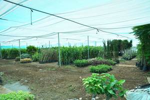 Shade nursery net Grass <b>Green</b> Agricultural <b>Netting</b> for Greenhouse Protection and Plant Covering - Product Image 3