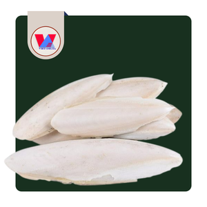 Hueso de Sepia Natural de 20-25cm, Sin Recortar, para Loros Grandes, Juguete de Calcio para Recortar el Pico, MÁS VENDIDO - Product Image 1