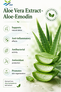 HGO Suministro directo de fábrica Extracto de aloe vera cítrico natural (grado alimenticio) Especificación 95% Aloe-Emodin (extracto estandarizado) - Product Image 2