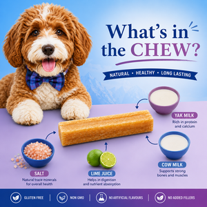 Masticable para perros del Himalaya más vendido, snack orgánico rico en proteínas, masticable de larga duración para perros, masticable natural de yak del Himalaya, OEM ODM - Product Image 6