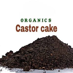 ปุ๋ยบำรุงพืชคุณภาพพรีเมียม ยอดนิยม ใช้ได้กับพืชผลทางการเกษตร ทำจากผงกากเมล็ดละหุ่ง มีจำหน่ายในปริมาณมากจากอินเดีย - Product Image 2