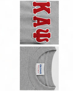 Custom Sorority <b>Men's</b> Hooded Sweatshirts-370g Quick Dry Breathable Winter Embroidered Knitted Greek Letter Designs College - Product Image 2