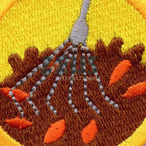 Vente directe d'usine Zeus International : Patchs en chenille de haute qualité, nouveau style, en vente en ligne - Product Image 4