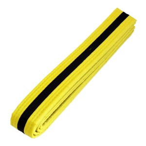 Ceinture articulée avec broderies personnalisées pour homme, accessoire d'arts martiaux et karaté, disponible dans toutes les tailles, plusieurs couleurs, livraison gratuite - Product Image 1