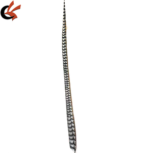 Accesorios para Disfraces <span class=keywords><strong>de</strong></span> <span class=keywords><strong>Carnaval</strong></span>, Pluma <span class=keywords><strong>de</strong></span> Faisán Natural <span class=keywords><strong>de</strong></span> 150 cm, Pluma <span class=keywords><strong>de</strong></span> Faisán Sintética Barata, Proveedor <span class=keywords><strong>de</strong></span> Plumas <span class=keywords><strong>de</strong></span> Faisán Artificiales - Product Image 2