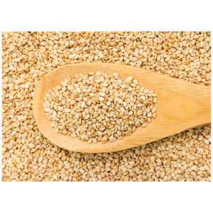 เมล็ดงาขาวปอกเปลือกขายส่ง - Product Image 5